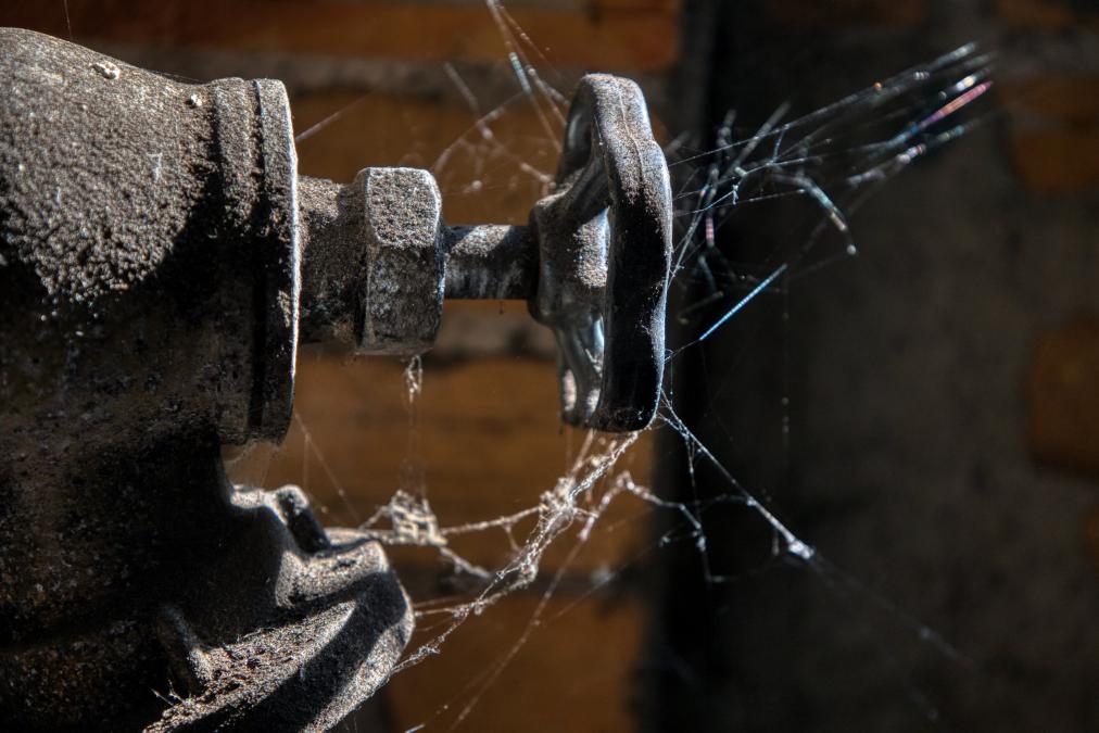 Club-Exkursion zur Brikettfabrik II Knappenrode