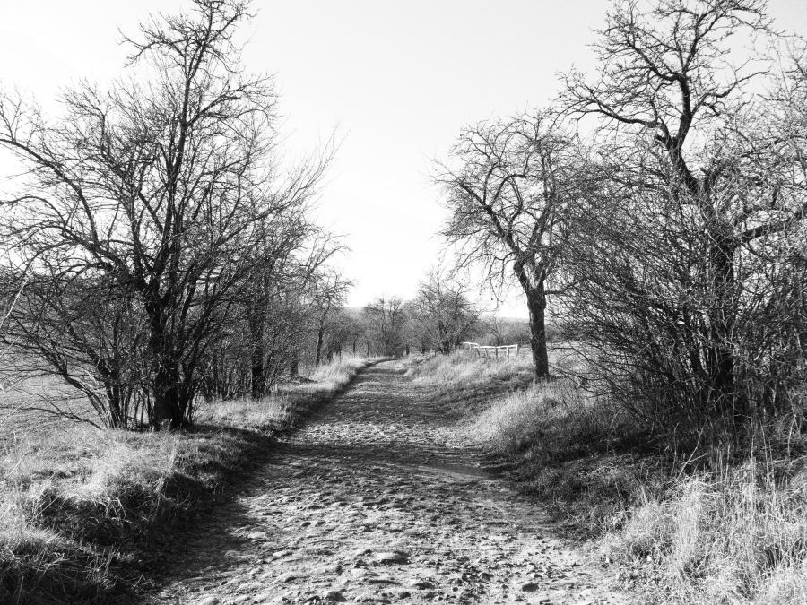 Auf dem Weg